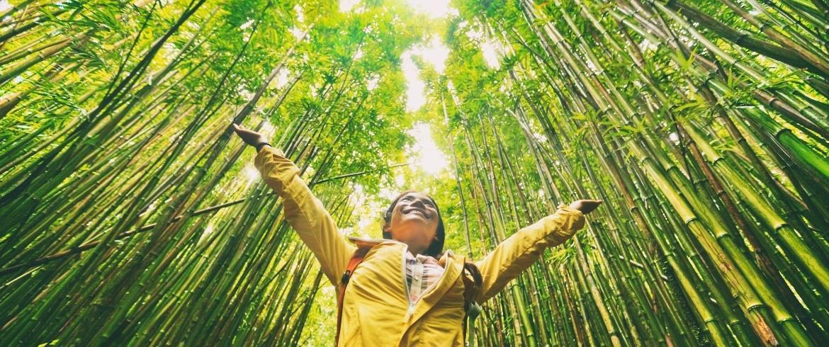 Sustainable Travel Practices: Commitment to Eco-Friendly luxury Cruises