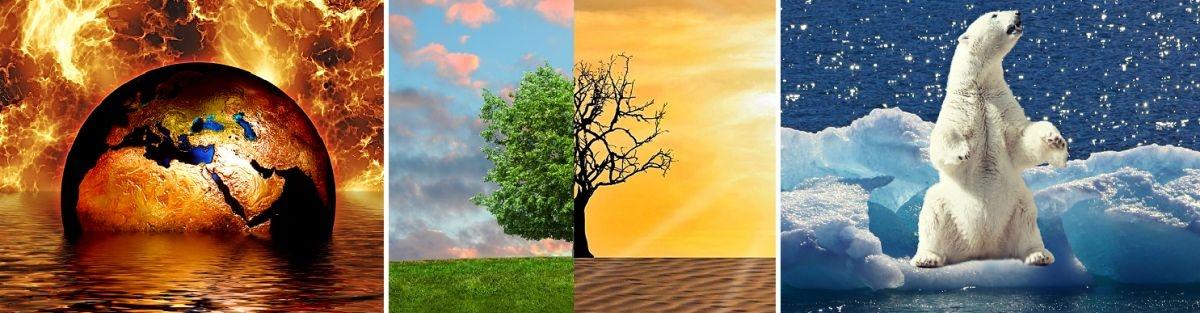 Navigating Climate Change and Its impact on Burundi’s Agricultural‌ Sector