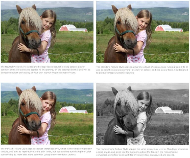 Cabo Verde Unveils Mindelo Tech Park, Boosting Digital Economy Ambitions – TechAfrica News